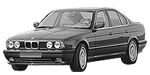 BMW E34 P044D Fault Code